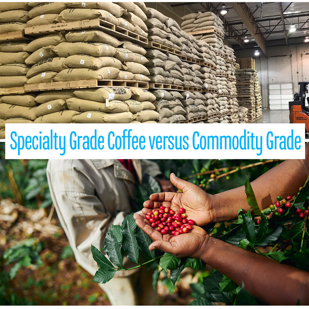 Specialty Grade Coffee versus Commodity Grade Coffee