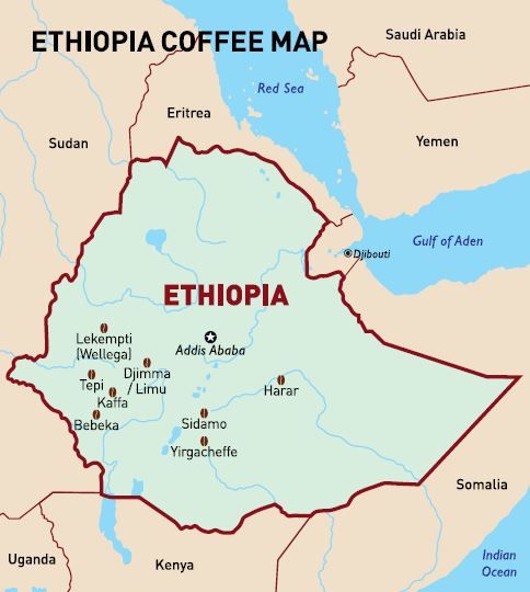 Ethiopia Coffee - Yirgacheffe District