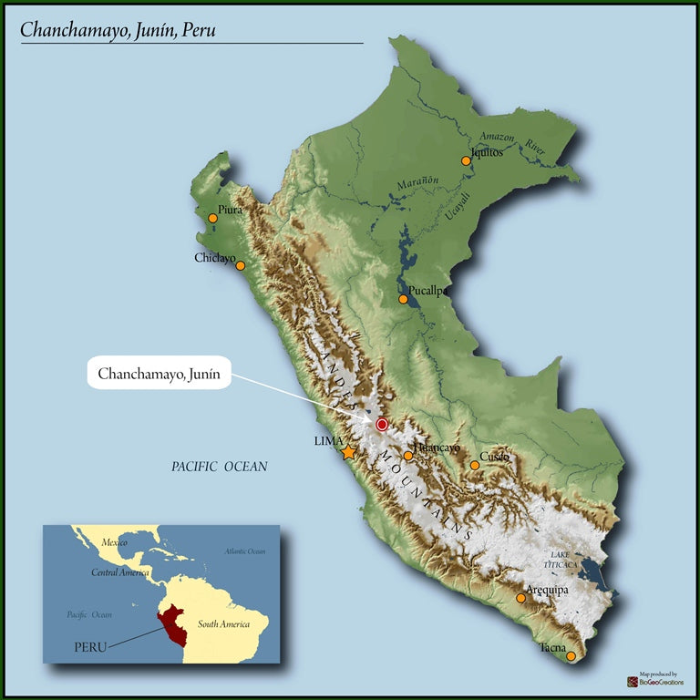 Peruvian Coffee - Chanchamayo District